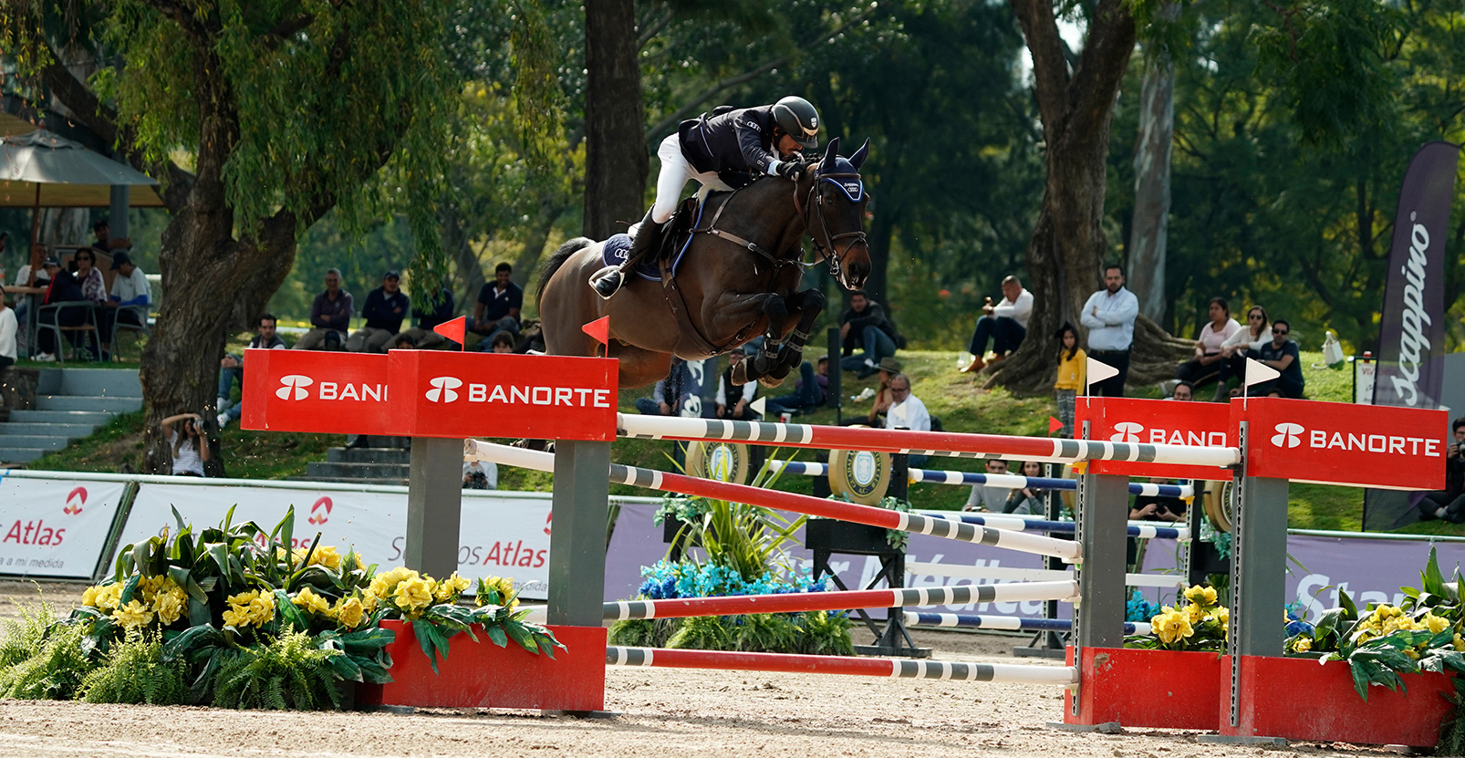 galeria Triple Copa Scappino