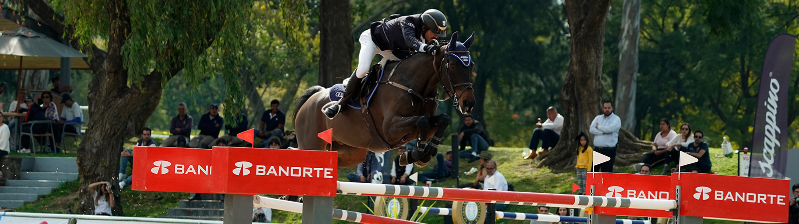 CONCURSO INTERNACIONAL CSIAm-A CSI3* & CSI 4*- W León